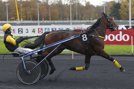 Actualités Hippiques